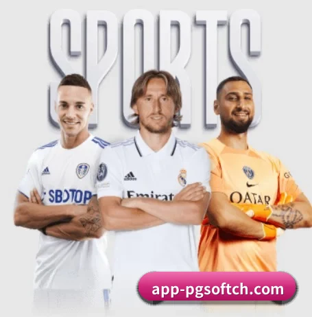pg APP 界面