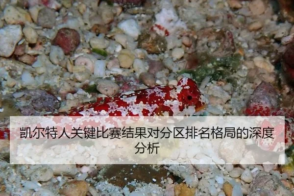 凯尔特人关键比赛结果对分区排名格局的深度分析